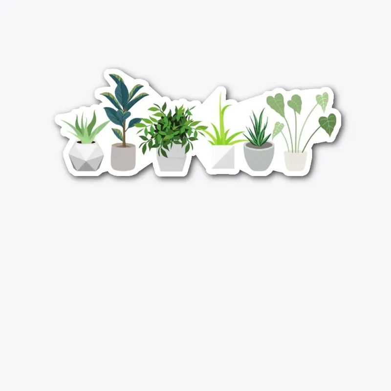 6 plants